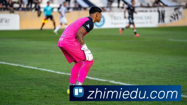 博亚体育品牌故事